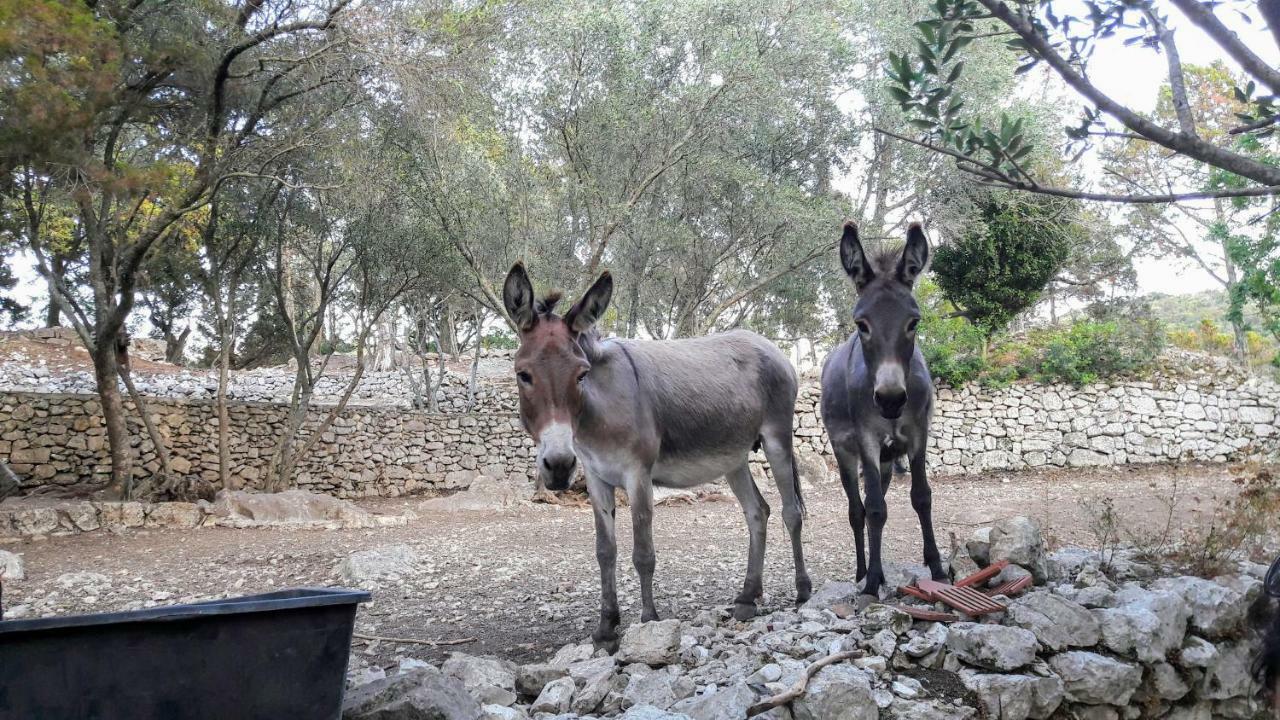 Authentic Ap For 2, Babino Polje,Mljet Apartamento Exterior foto
