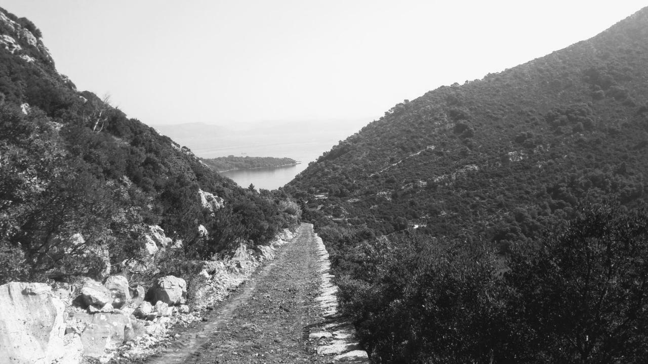 Authentic Ap For 2, Babino Polje,Mljet Apartamento Exterior foto