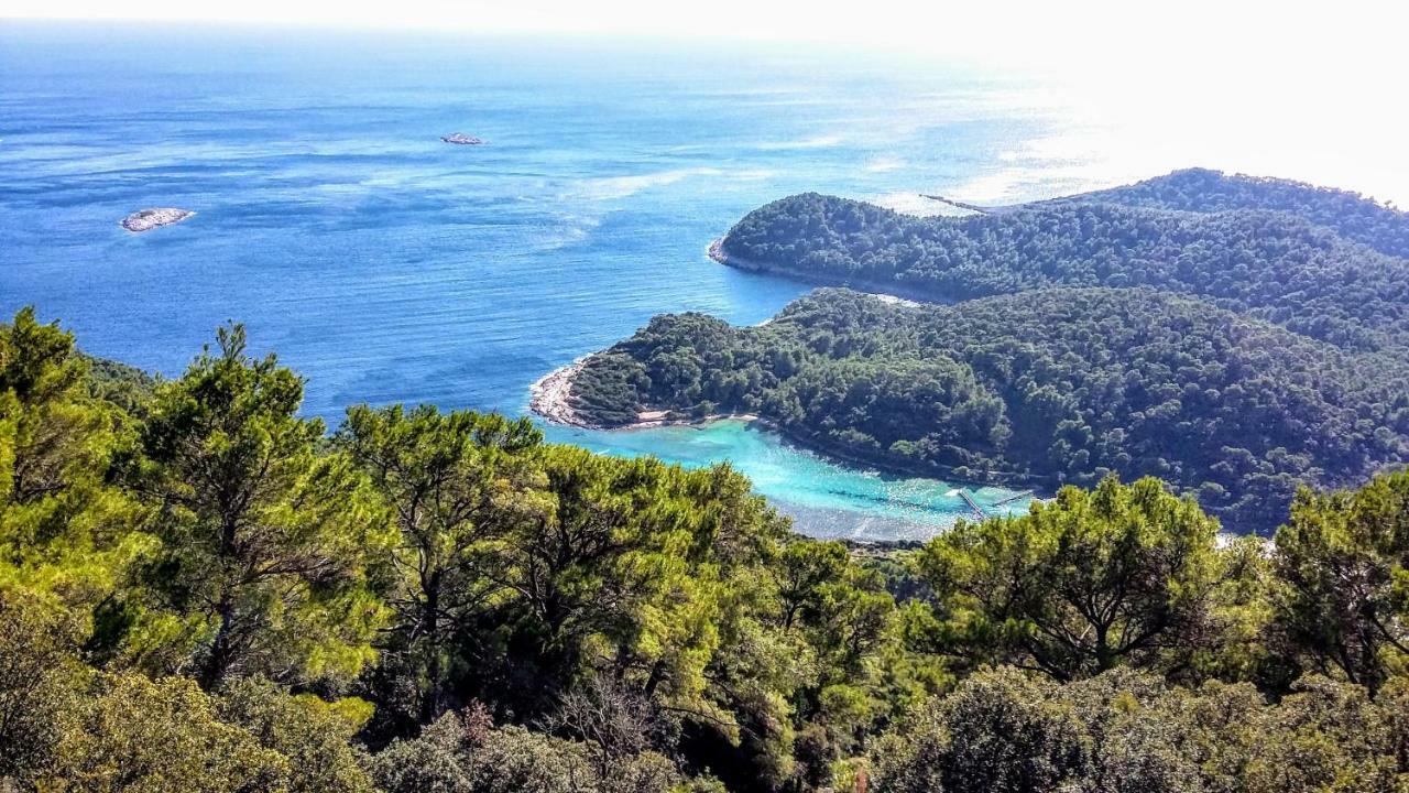 Authentic Ap For 2, Babino Polje,Mljet Apartamento Exterior foto