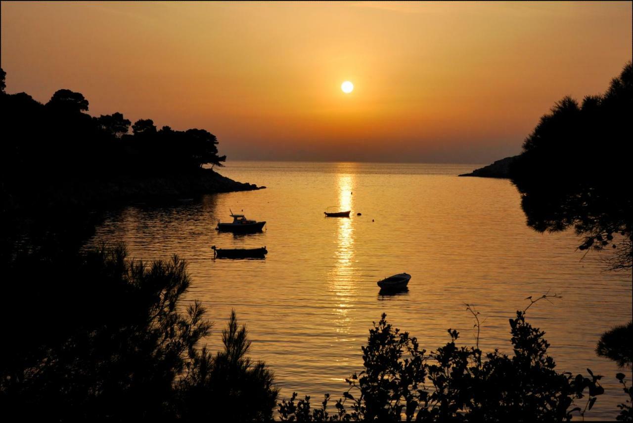 Authentic Ap For 2, Babino Polje,Mljet Apartamento Exterior foto
