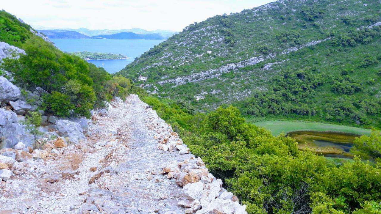 Authentic Ap For 2, Babino Polje,Mljet Apartamento Exterior foto
